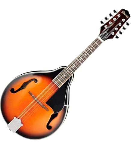 Amazon.com: Ibanez M510OVS Acoustic Mandolin in Vintage